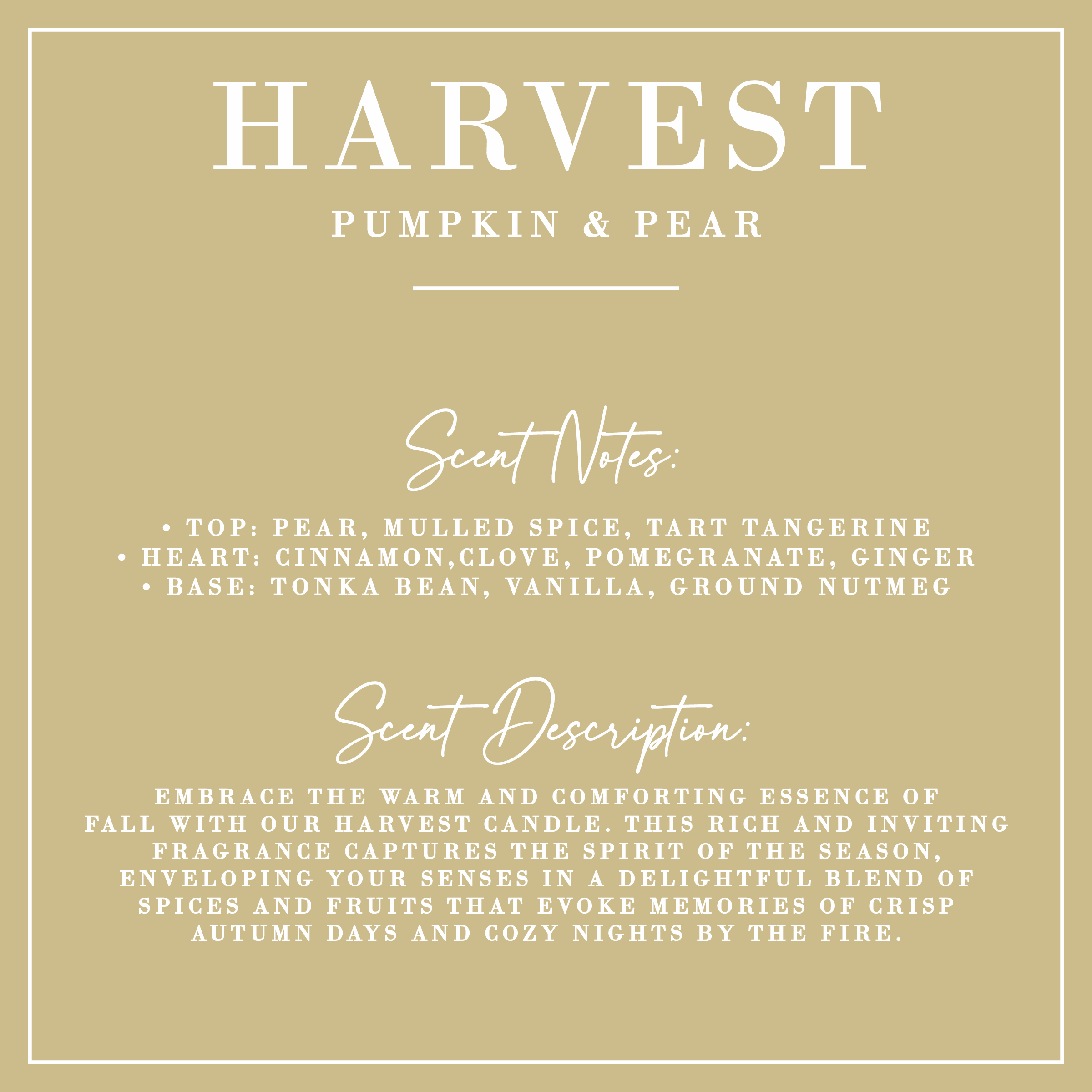 HARVEST | Pumpkin + Pear 50ml Everything Spray Porter Lane Home