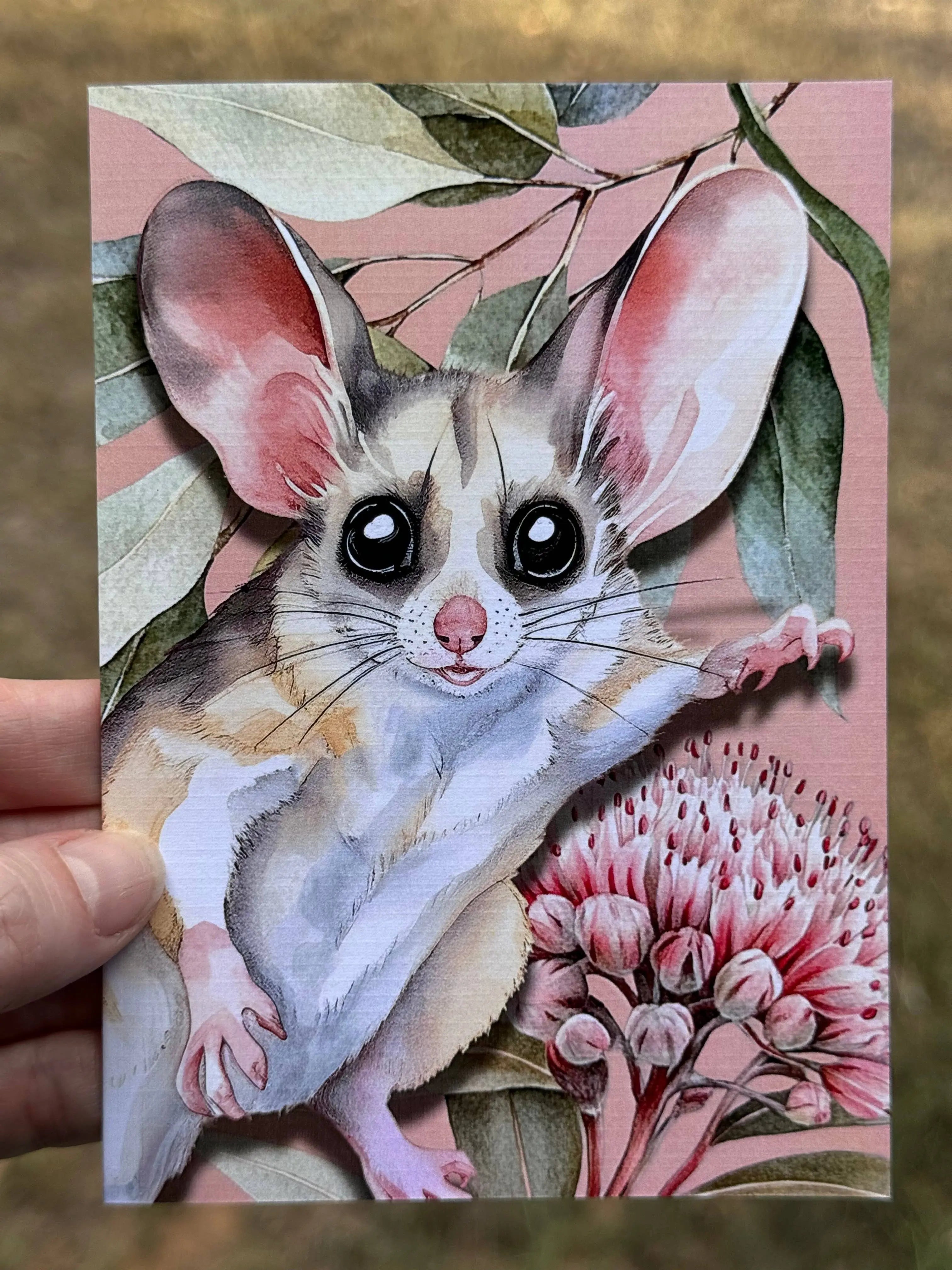 Australian Glider Native Florals greeting card Scattered Seed Co