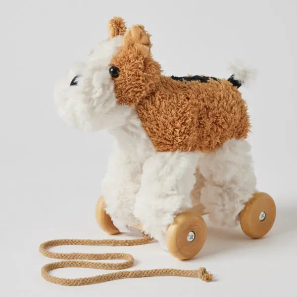 Dog Pull Along – Plush Toy with Removable Wheels Pilbeam Living