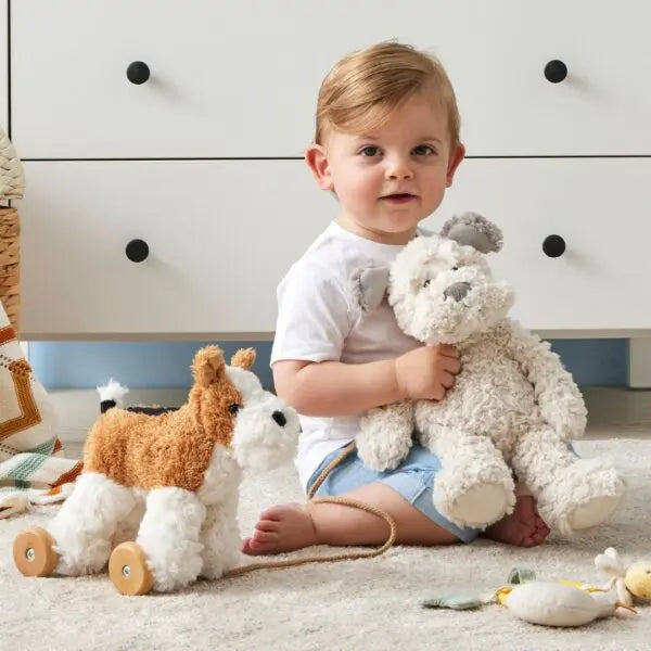 Dog Pull Along – Plush Toy with Removable Wheels Pilbeam Living