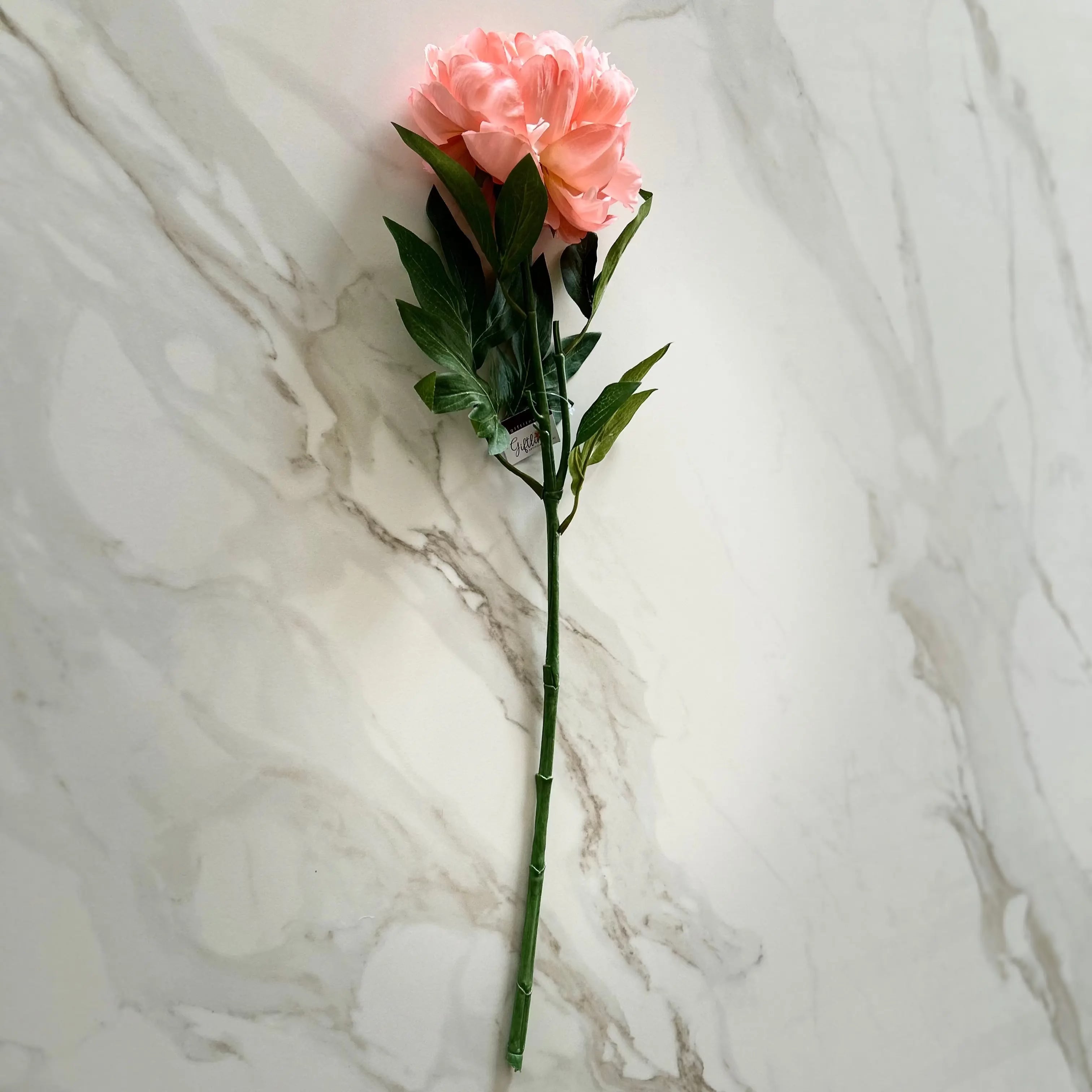 Pink/Peach Peony Large Bloom Each Stem