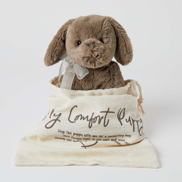 Sammy the Comfort Puppy Pilbeam Living