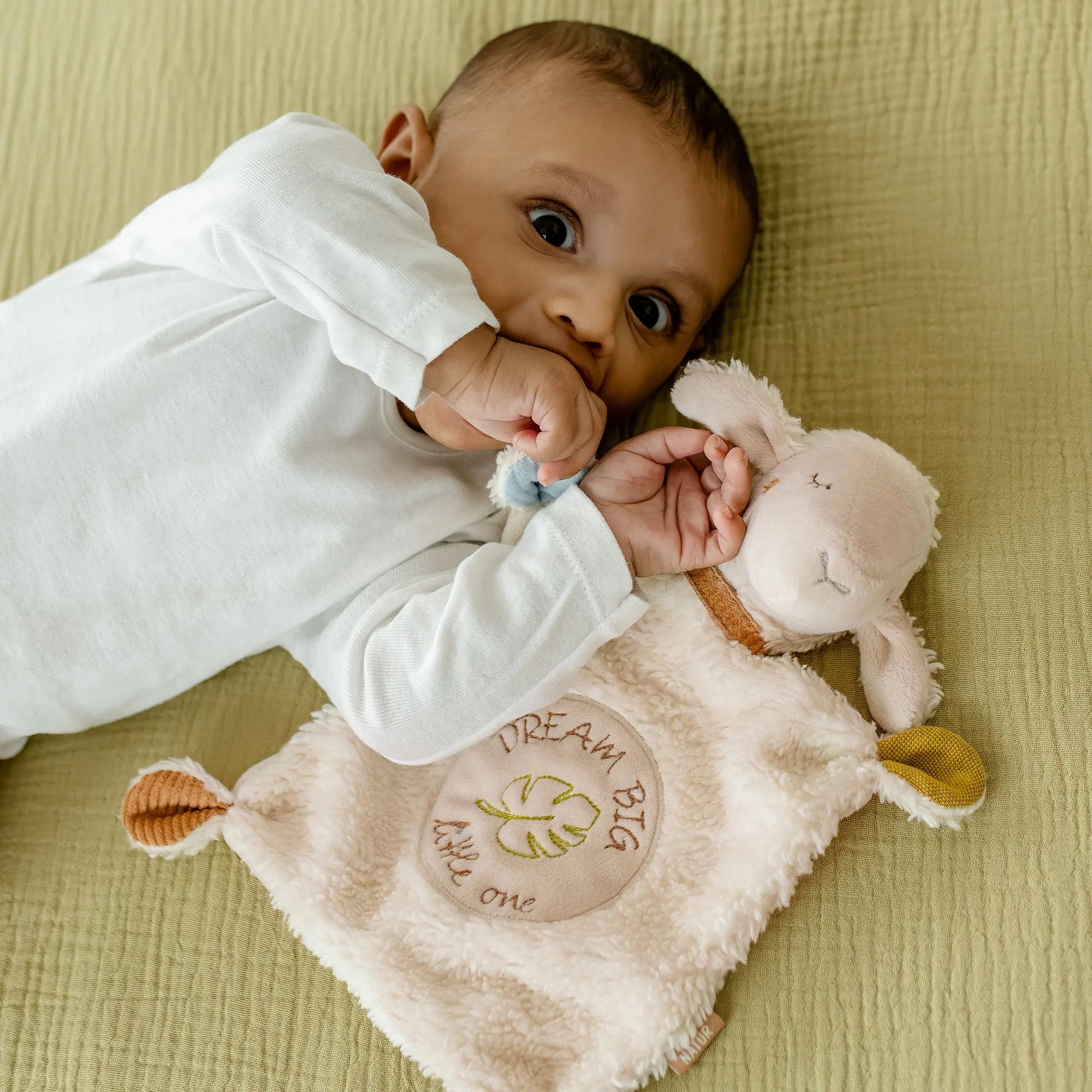 FehnNATUR Comforter Sheep "Dream Big" Pilbeam Living