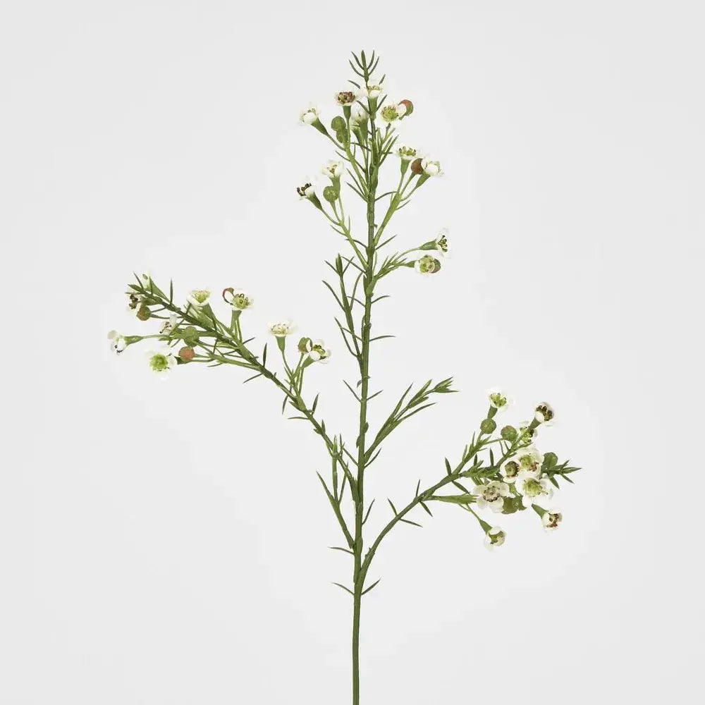Wax Flower Cream 64cm Florabelle