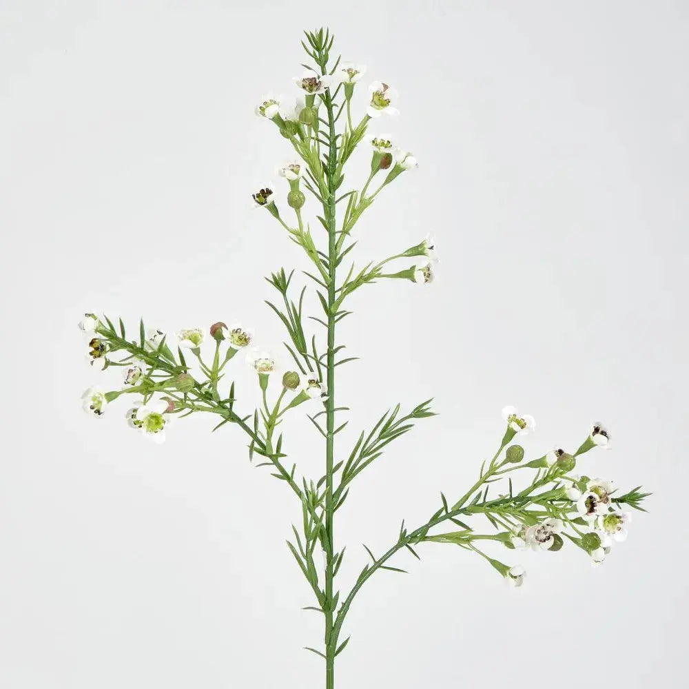 Wax Flower Cream 64cm Florabelle