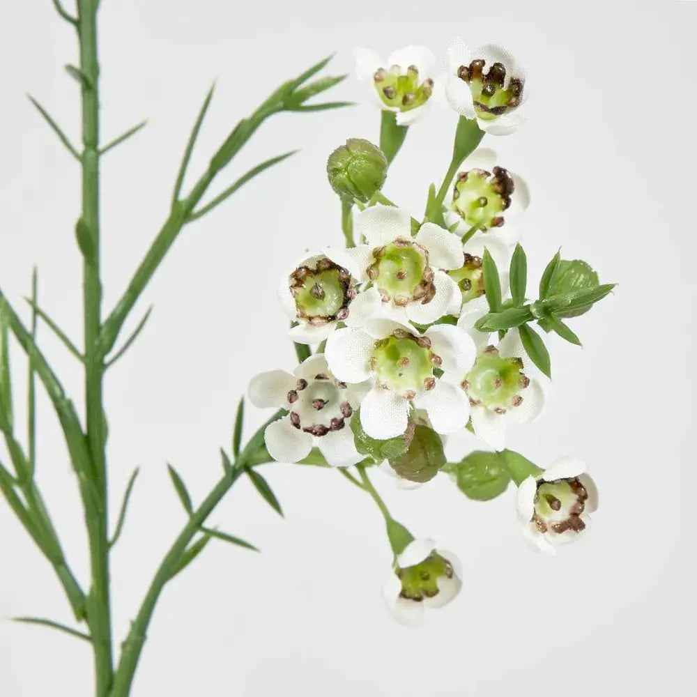 Wax Flower Cream 64cm Florabelle