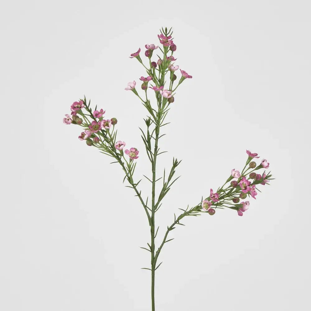 Wax Flower Dark Pink 64cm Barrington Country Homewares