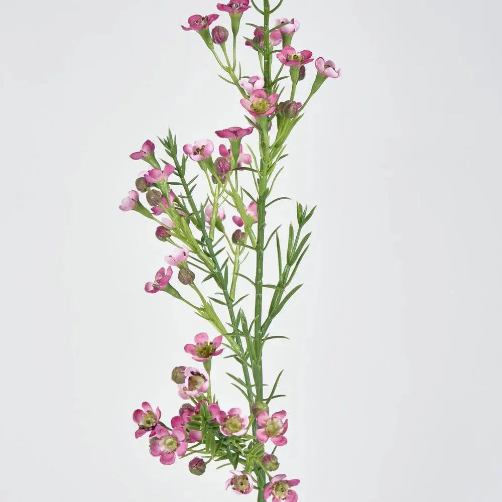 Wax Flower Dark Pink 64cm Barrington Country Homewares