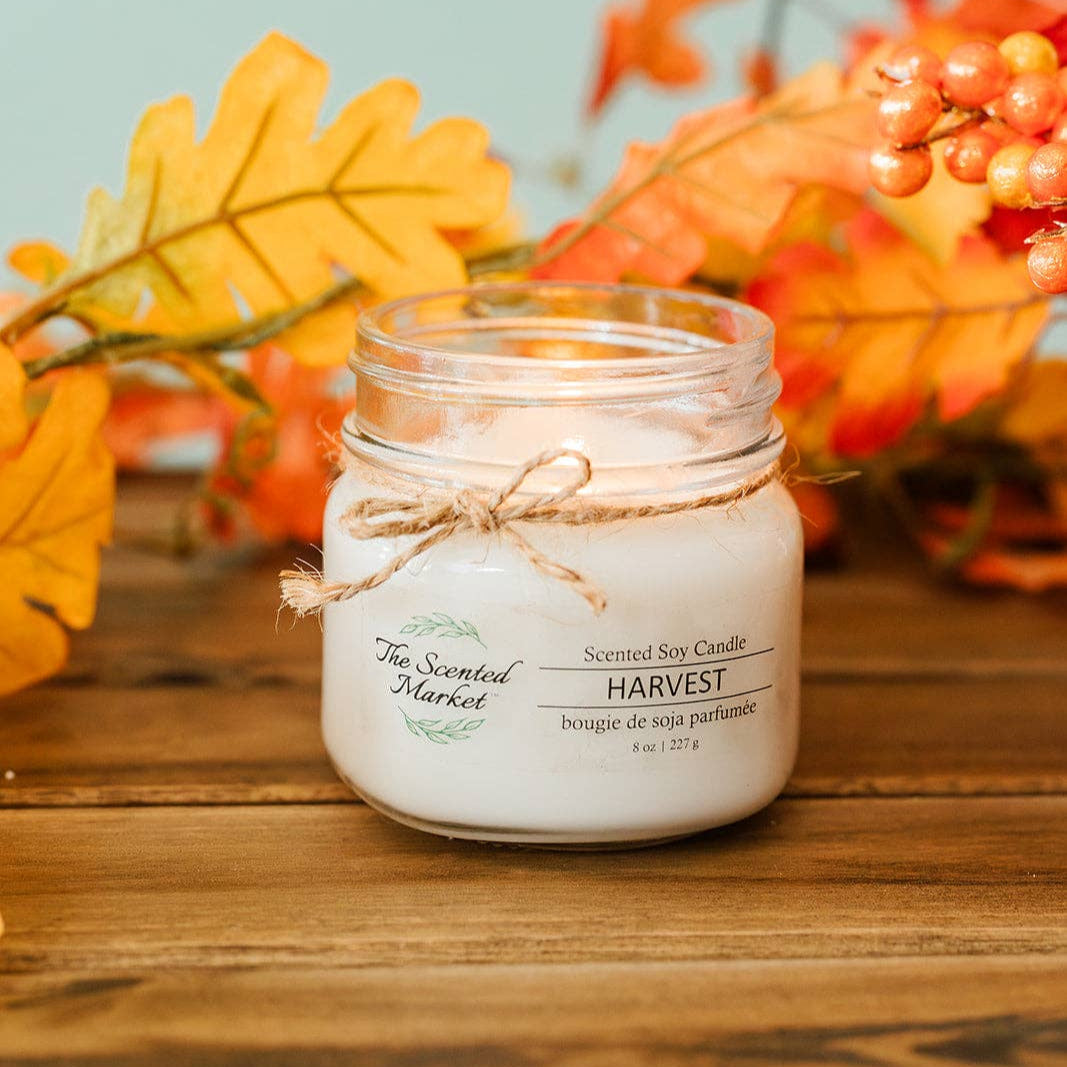 HARVEST Soy Wax Candle 8 oz The Scented Market