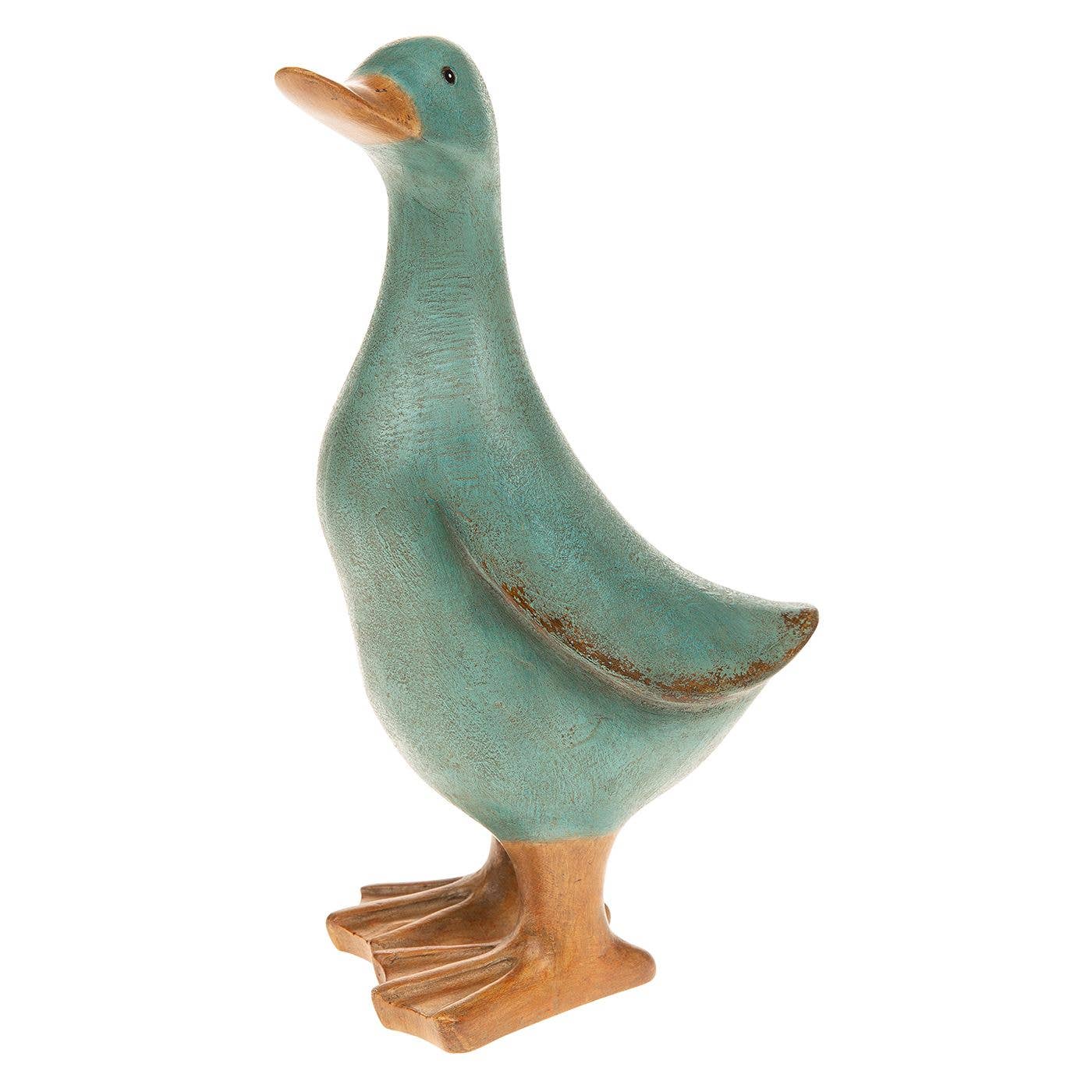 David's Aqua Duck Medium Joe Davies