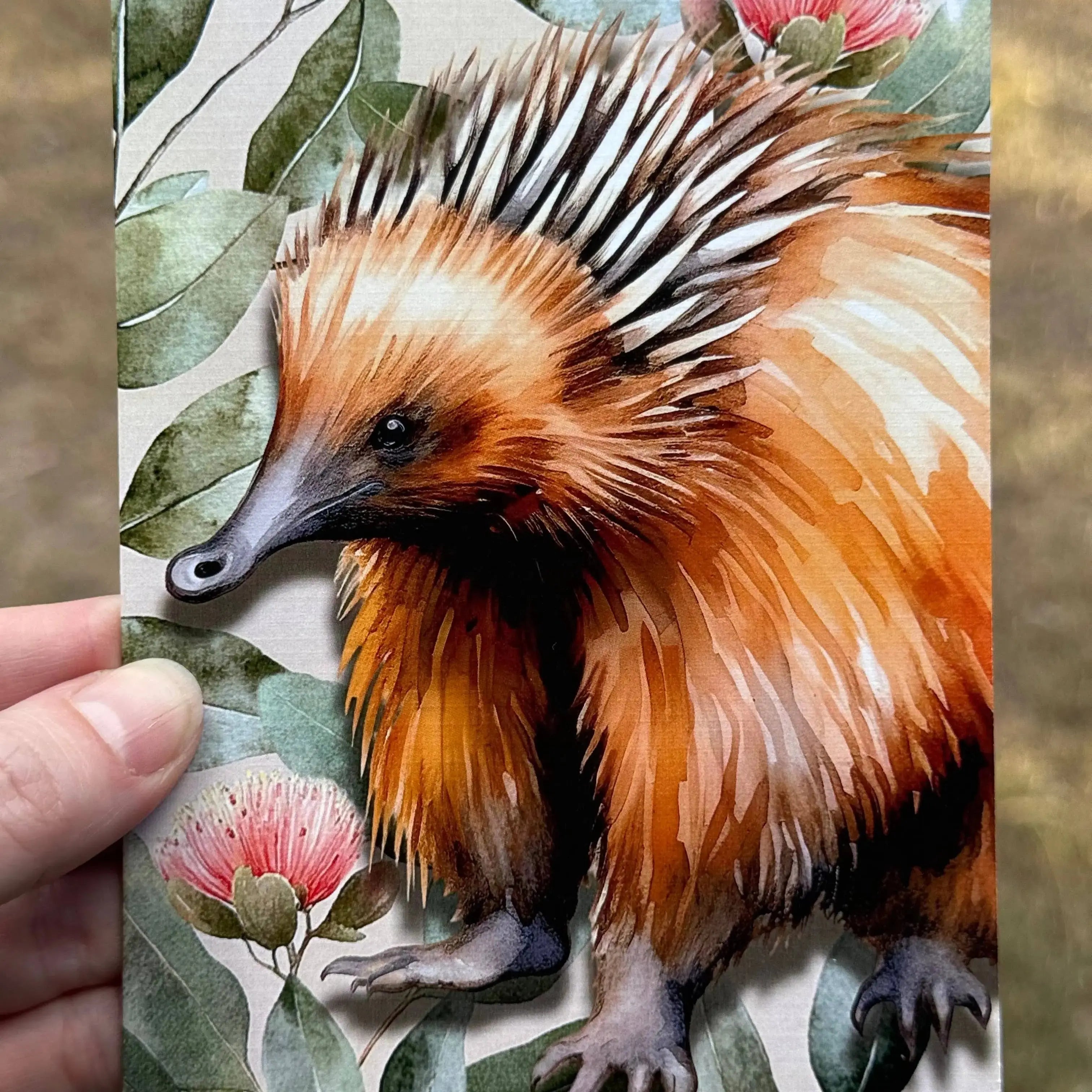 Australian Echidna on Native Florals – Greeting Card Scattered Seed Co
