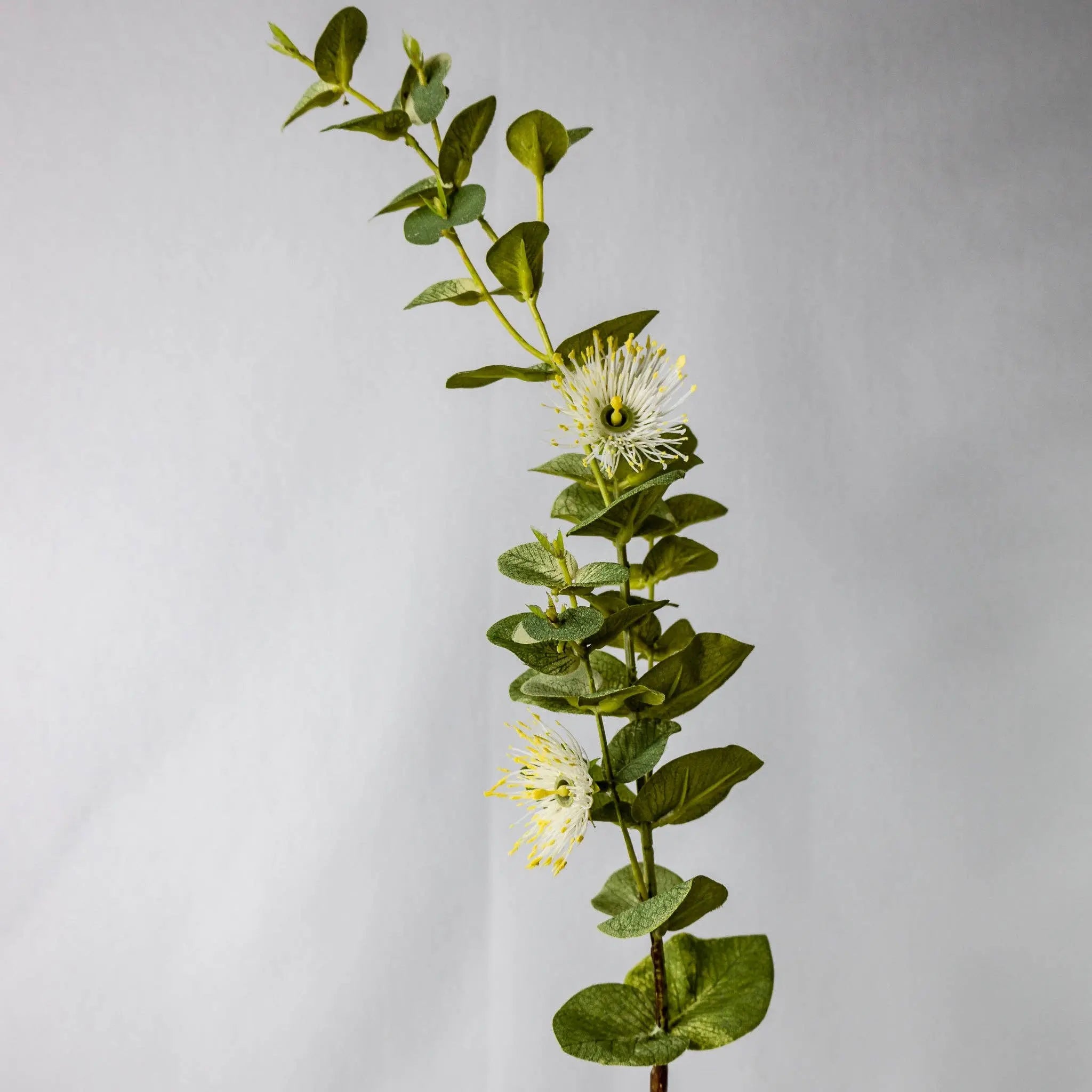 White Flowering Gum Blossom Each Stem Realistic Artificial Flowers