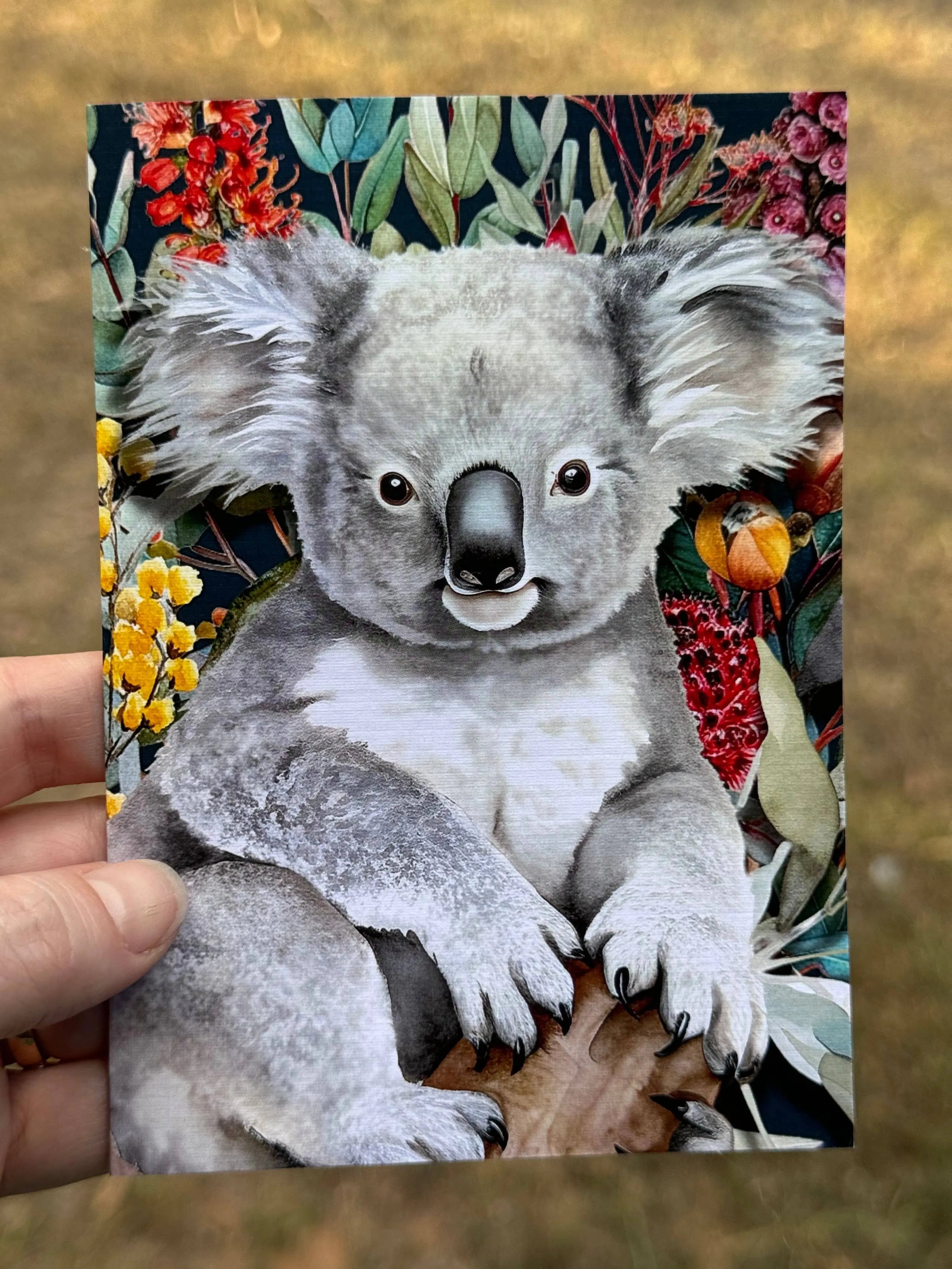 Australian Koala on Native Florals greeting card Scattered Seed Co