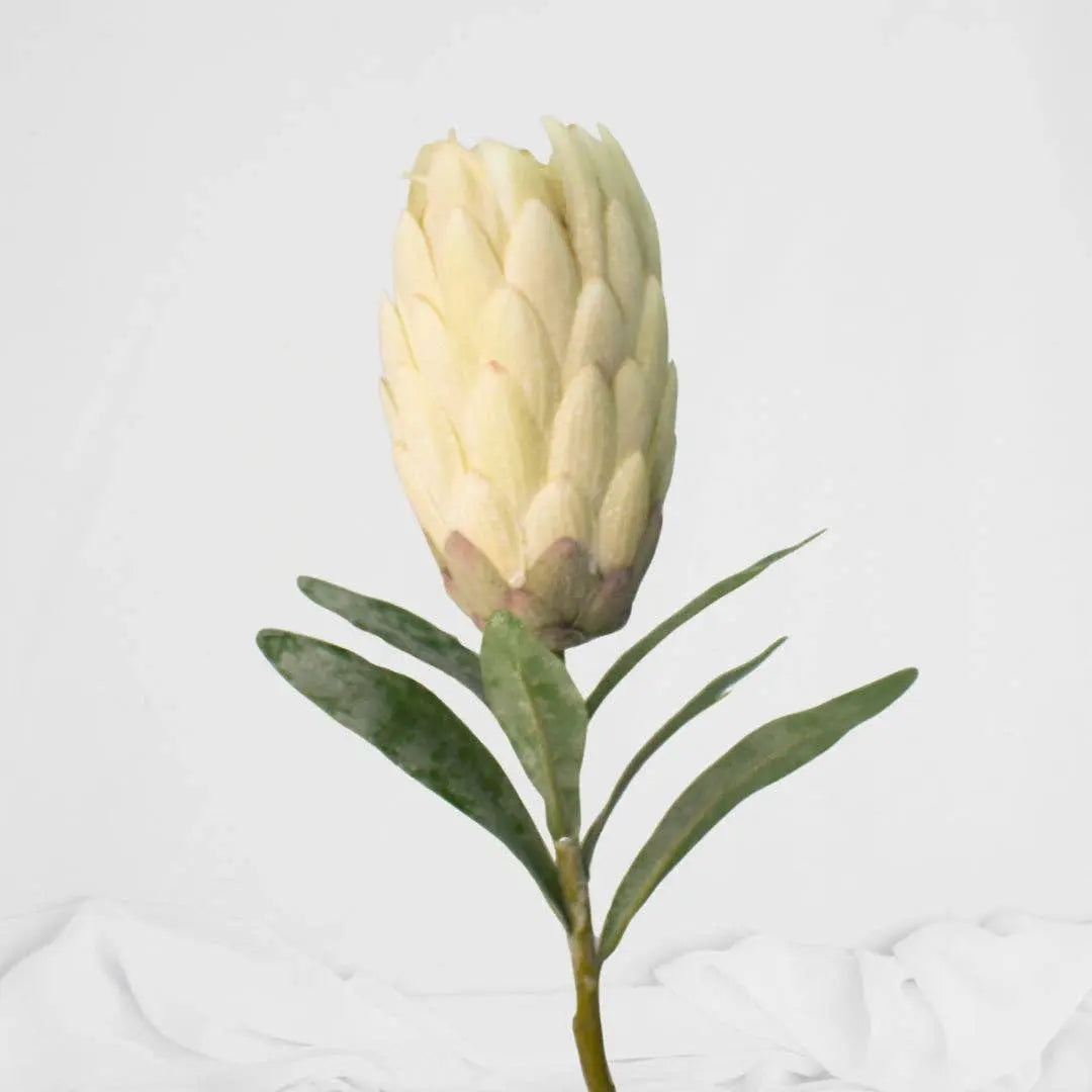 Protea Stem White Each Stem  - Realistic Artificial Flowers Realistic Artificial Flowers