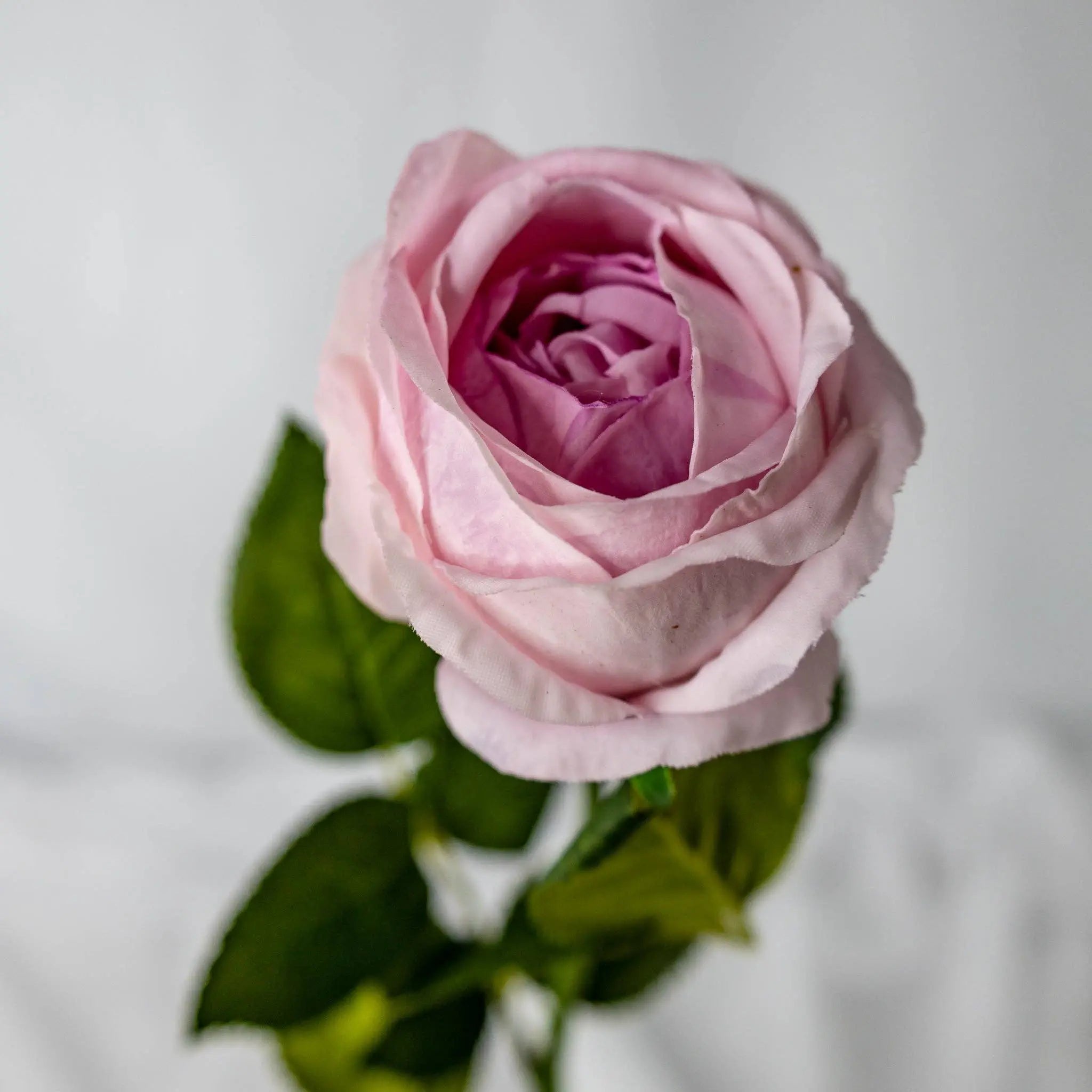 Vintage Lilac David Austin Real Touch Rose - Open Bud: Each Stem Realistic Artificial Flowers
