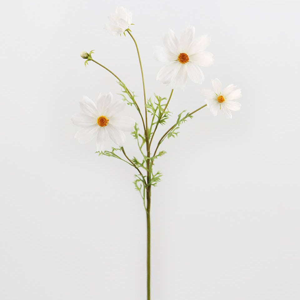 Real Touch White Cosmos 29” Prestige Botanicals