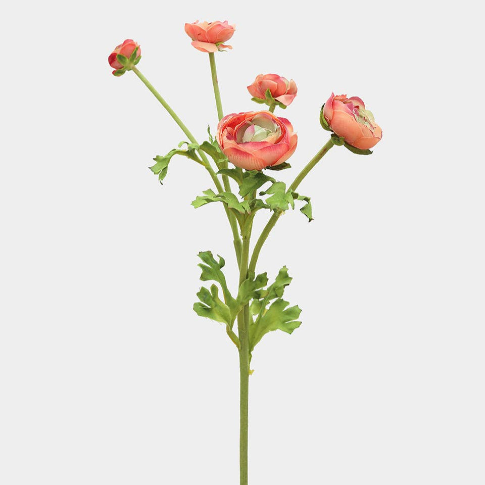 Real Touch Coral Ranunculus 22” Prestige Botanicals