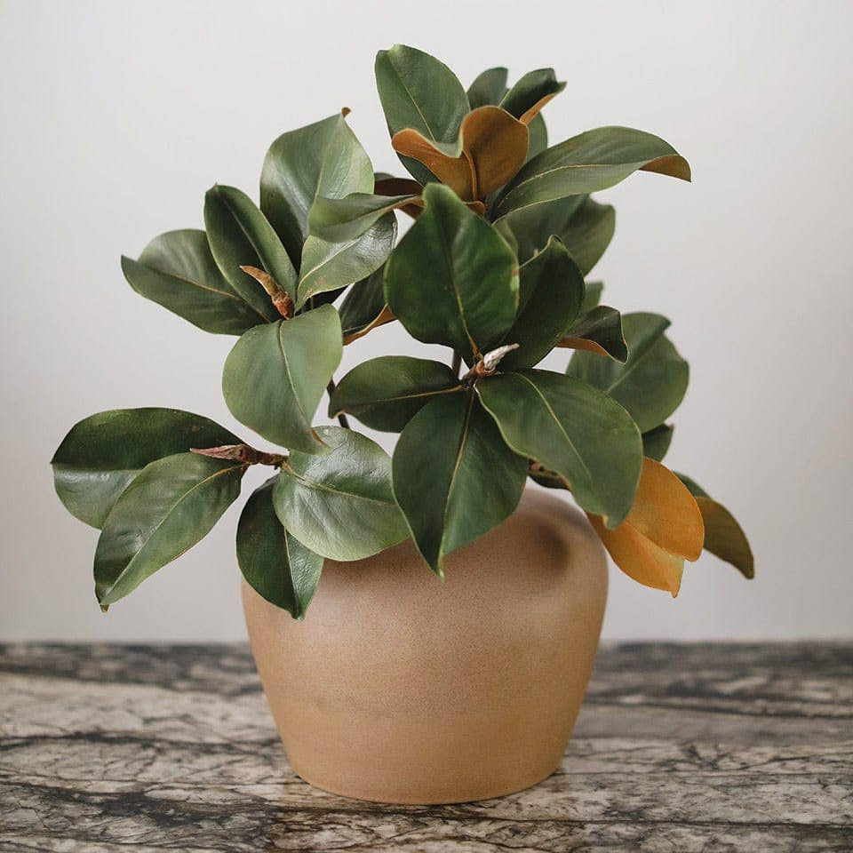 Prestige Faux Magnolia Leaf Stem – 63cm