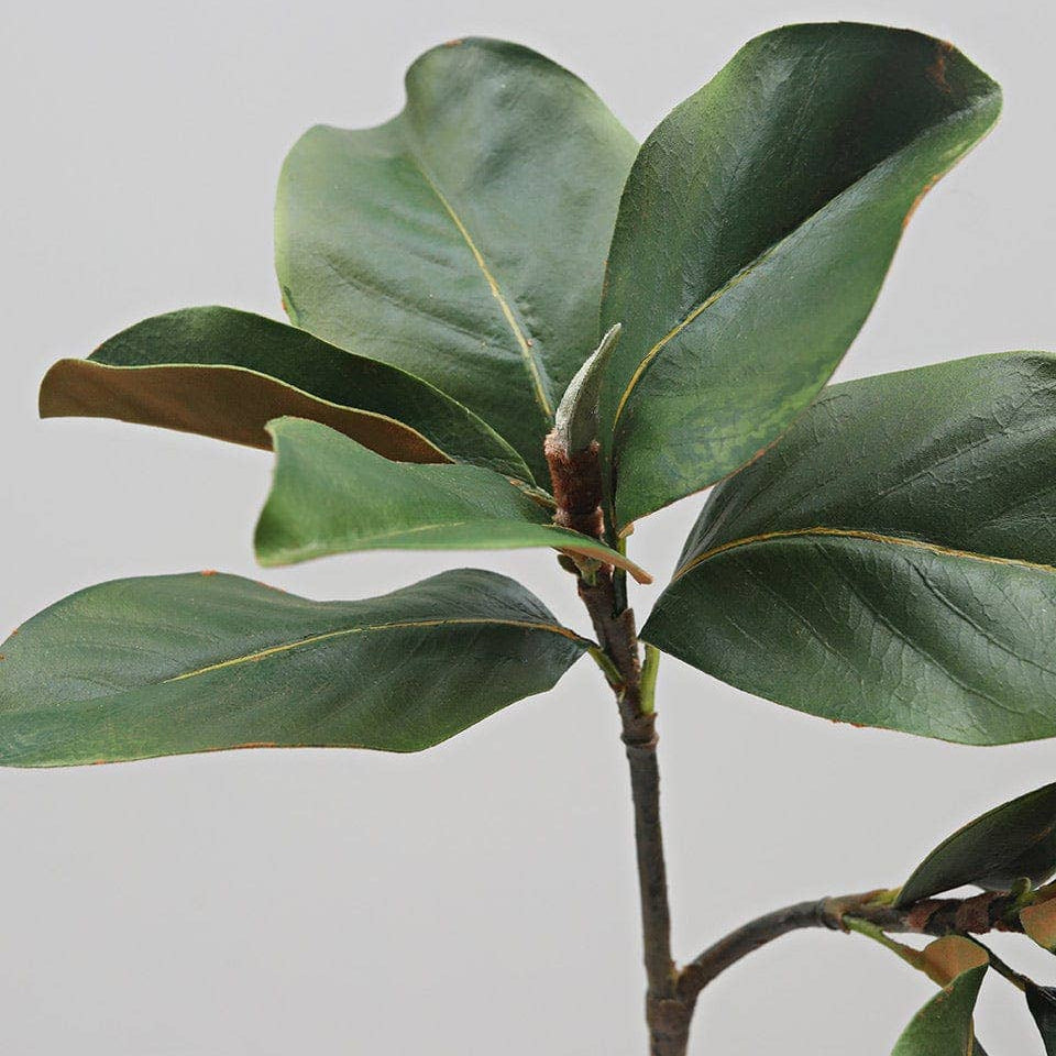 Prestige Faux Magnolia Leaf Stem – 63cm