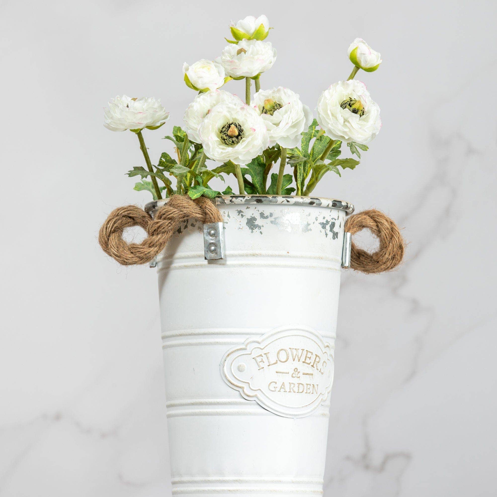 White Ranunculus 18.5" Prestige Botanicals